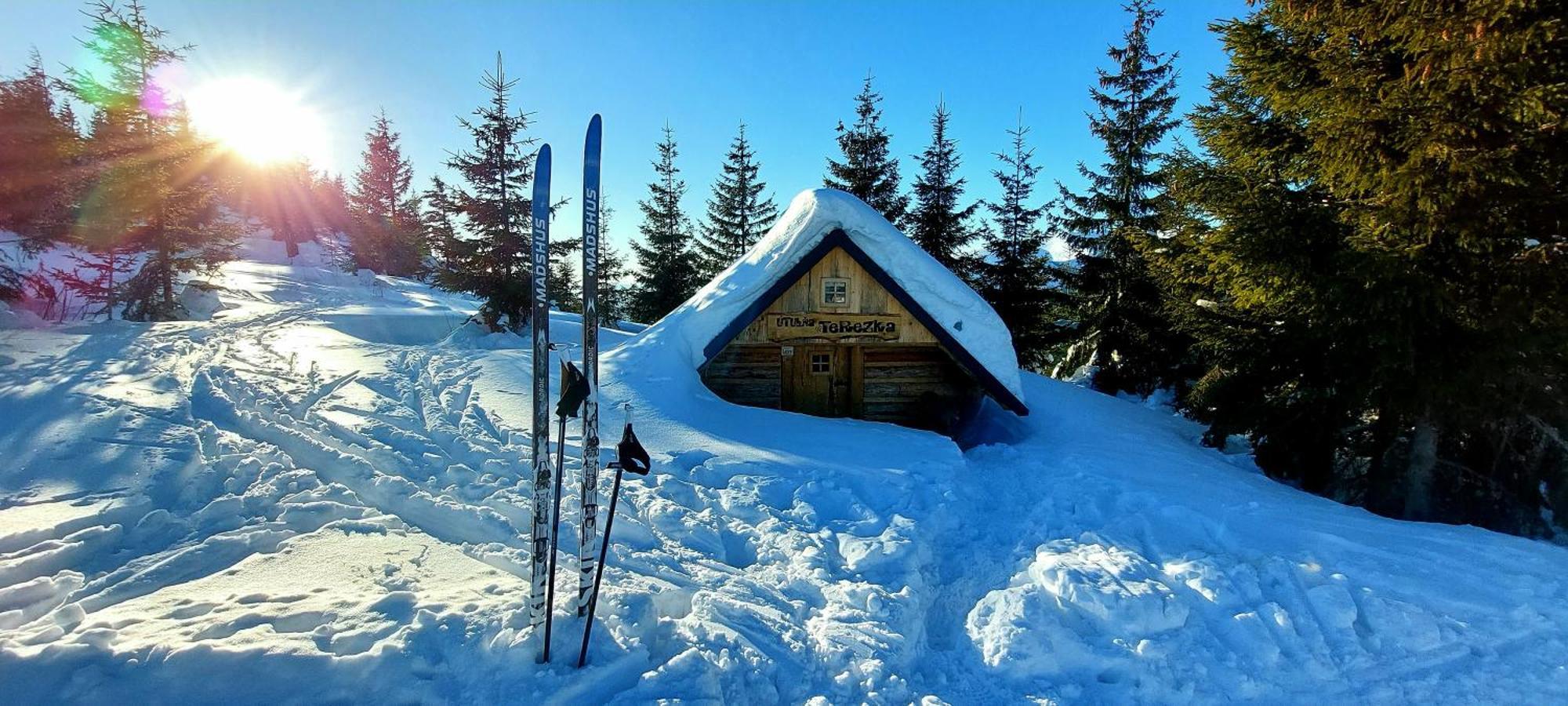 Tiny House Olivia Daire Liptovský Hrádok Dış mekan fotoğraf